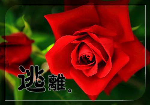 《以我深情,祭你长梦:覃景逸沈清宇周思怡》:大结局+番外最新章节列表_笔趣阁以我深情,祭你长梦:覃景逸沈清宇周思怡:大结局+番外覃景逸沈清宇周思怡