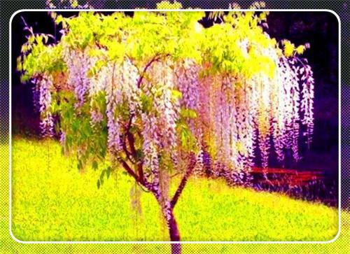 经典爱情哲理的个性签名 不求富贵荣华 但求家人安康