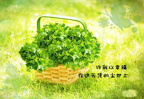 (番外)+(结局)千年此去不相逢：结局+番外（盛驰序姜枕意）免费阅读完整版_（千年此去不相逢：结局+番外）最新章节列表_笔趣阁（盛驰序姜枕意）