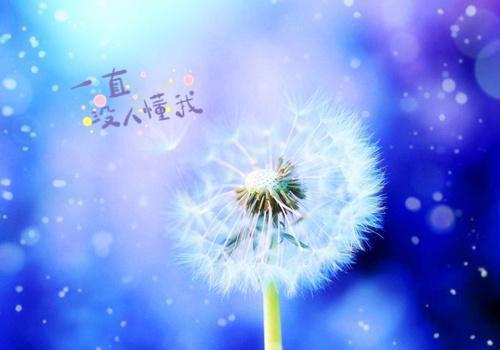 豪门继承人马甲掉后，渣男一家悔疯了季凉川苏晴小说_豪门继承人马甲掉后，渣男一家悔疯了完结版阅读