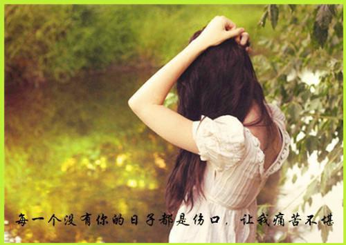 优秀小学班主任评语（精选16篇）