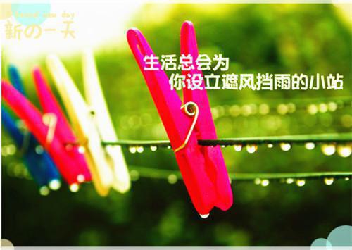 晚间问候语大全
