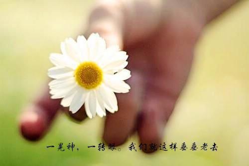 常梨厉晏舟：全文+后续（厉晏舟常梨）最新章节列表_常梨厉晏舟：全文+后续（厉晏舟常梨）结局篇+番外在线阅读