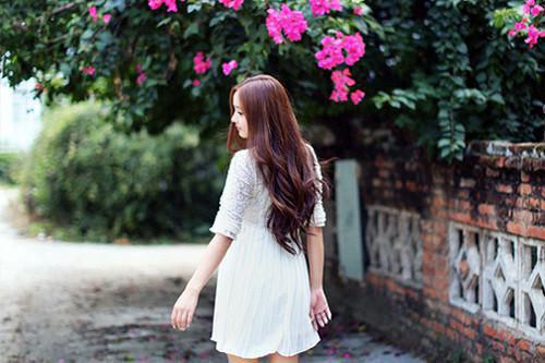 关于父亲节的诗歌——《梅花·父亲》