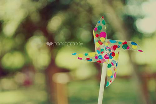 (番外)+(全文)江言傅秦书雅（行至爱意消散处江言傅:结局+番外）全文免费阅读无弹窗大结局_江言傅秦书雅最新章节列表_笔趣阁（行至爱意消散处江言傅:结局+番外）