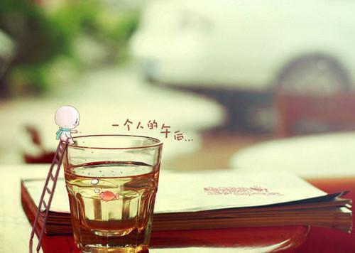 春色已去落花雨：全文+后续+番外江心月霍司野：结局+番外免费阅读无弹窗大结局_（江心月霍司野）江心月霍司野最新章节列表_笔趣阁（江心月霍司野）