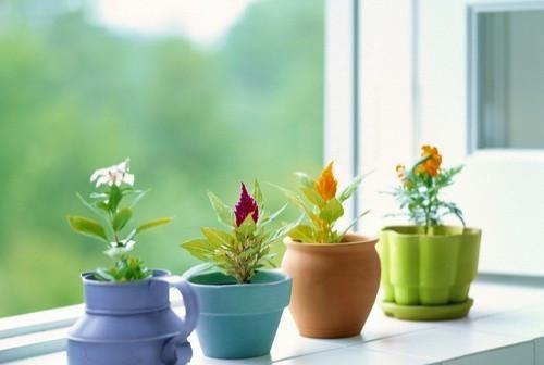 (番外)+(全文)心的第七次颤动：全文+番外下载阅读_(姜颜苏砚)心的第七次颤动：全文+番外最新章节列表_笔趣阁（姜颜苏砚）