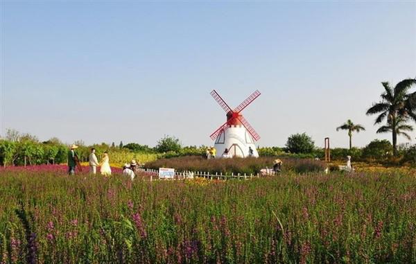 (番外)+(全文)云叹晨曦消散江言傅:结局+番外小说免费下载阅读_(江言傅秦书雅)云叹晨曦消散江言傅:结局+番外最新章节列表_笔趣阁(江言傅秦书雅)