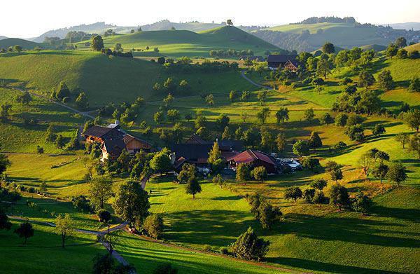 姜颜苏砚:心的第七次颤动结局+番外(苏砚姜颜)全文免费阅读无弹窗大结局_姜颜苏砚:心的第七次颤动结局+番外(姜颜苏砚:心的第七次颤动结局+番外免费阅读)最新章节列表_笔趣阁(苏砚姜颜)