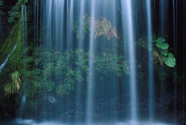 小学一年级对优秀生评语