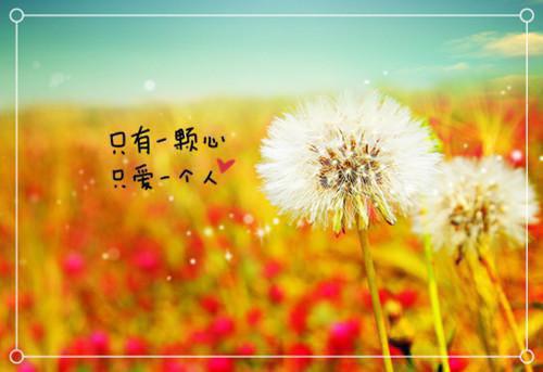 教师对优秀学生的评语（精选28篇）