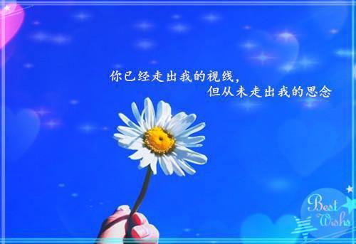 2023最新qq个性签名伤感心碎 他只是没那么喜欢你而已