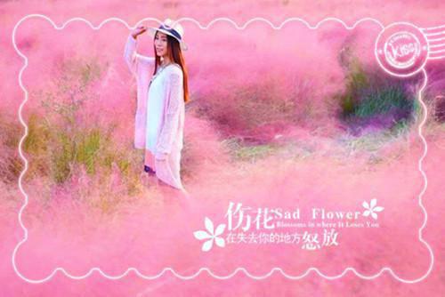 萧清瑶傅时晏：结局+番外萧清瑶傅时晏完结版全章节阅读