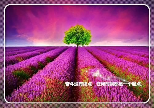 幼儿园大班下学期评语大全