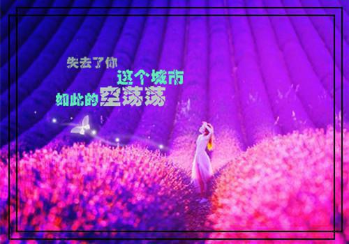 喜遇重阳，更佳酿今朝新熟。