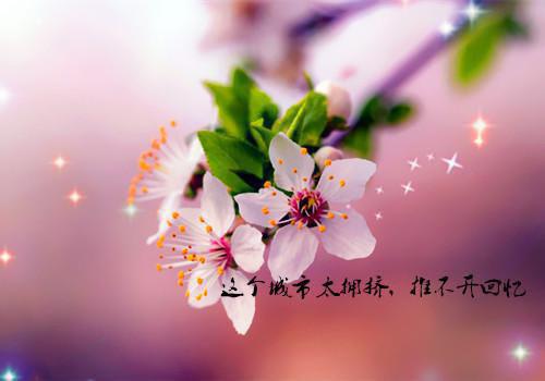 有关悲伤的爱情散文推荐