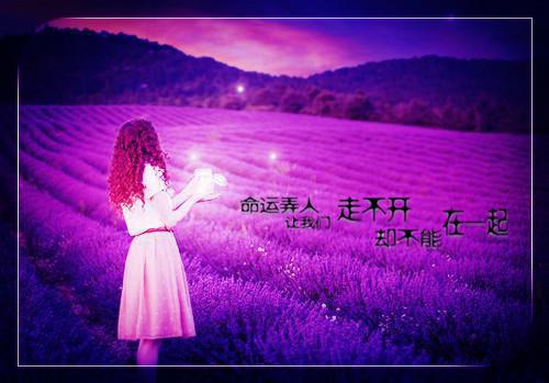 2023三八妇女节贺词
