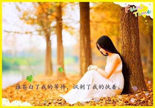 春日简的小说真千金虐翻全场，全家悔恨求原谅温令月姜肃全文阅读