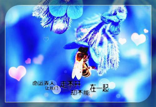 躺平签到女帝非要拜师小说全文免费阅读