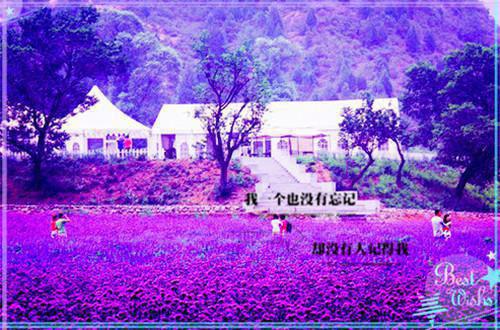 吹牛是首富，一觉醒来成真了：全章+后续（江南孟清秋）最新章节列表_吹牛是首富，一觉醒来成真了：全章+后续（江南孟清秋）结局篇+番外在线阅读