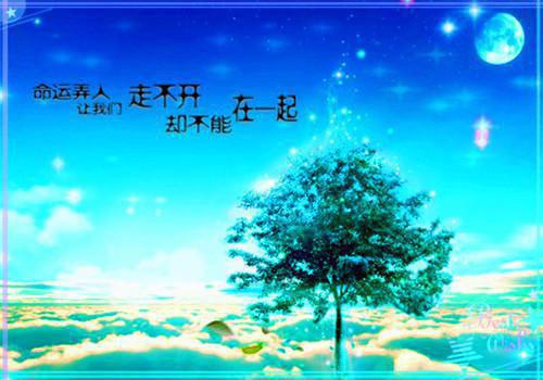 特别优秀的小学生评语（通用16篇）