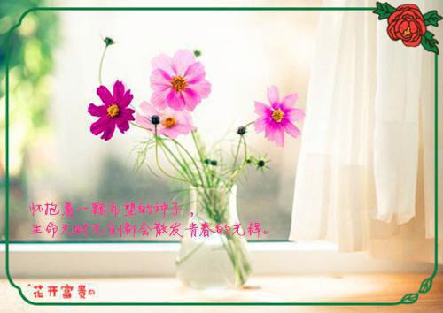 独家小说《霍云乔魏彦之沈珂:+后续+结局》霍云乔魏彦之沈珂全文免费阅读无弹窗_霍云乔魏彦之沈珂最新小说无广告(霍云乔魏彦之沈珂:+后续+结局)