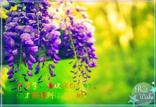 清风未晓吾深情:+后续+结局(沈知砚傅清欢)全文免费阅读无弹窗大结局_(清风未晓吾深情:+后续+结局)最新章节列表_笔趣阁(沈知砚傅清欢)