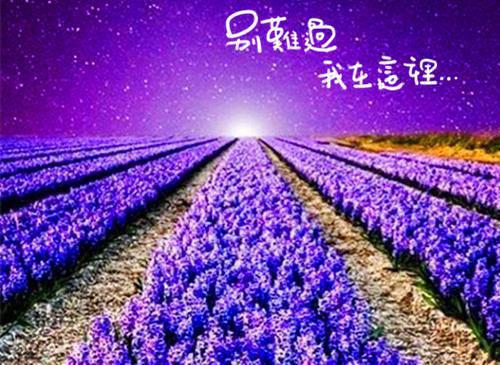 长辈生日祝福语大全2023