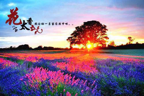 (番外)+(结局)愿你不染人间愁:结局+番外(傅慎川沈兮棠万阅)全文免费阅读无弹窗大结局_(愿你不染人间愁:结局+番外)最新章节列表_笔趣阁(傅慎川沈兮棠万阅)