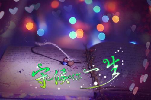 霍云笙的小说_宠婚成瘾:作精娇妻杀疯了后续欧阳琛,张脸,沐幼怡小说阅读