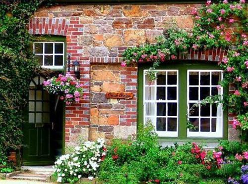 春衫春雨共丝丝结局+番外+完结（苏在野珠落）全文免费阅读无弹窗大结局_春衫春雨共丝丝结局+番外+完结最新章节列表_笔趣阁（苏在野珠落）