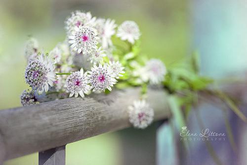 纪音程非池:动如参与商最新章节列表_笔趣阁(动如参与商:纪音程非池:全文+结局+番外)