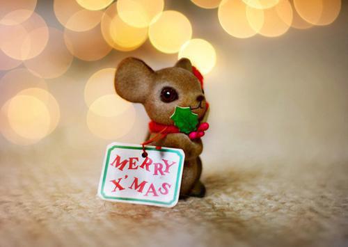 云惜萧寒墨:结局+番外云惜萧寒墨全文免费阅读(云惜萧寒墨:结局+番外)全文免费云惜萧寒墨阅读无弹窗大结局_云惜萧寒墨:结局+番外小说云惜萧寒墨最新章节列表_笔趣阁(云惜萧寒墨)