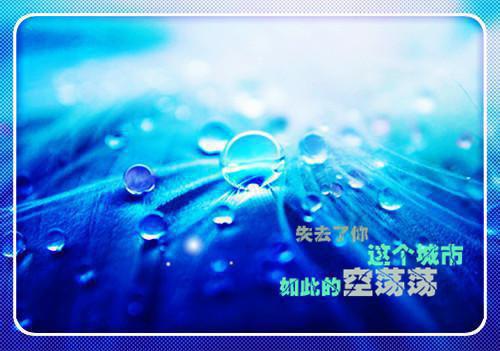 毕业论文评语范文（精选27篇）