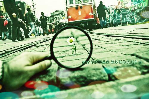 中华经典美文朗诵