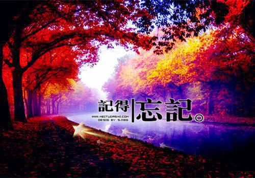 有关花的诗句