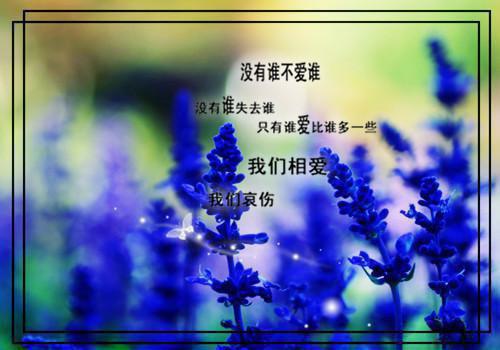 古风的小说中的句子汇总
