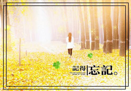 只可惜没有如果:结局+番外篇（林诗瑶萧沉云）全文免费阅读无弹窗大结局_只可惜没有如果:结局+番外篇最新章节列表_笔趣阁（只可惜没有如果:结局+番外篇）