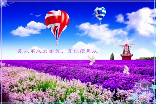 (番外)+(全文)余爱散尽,满地伤心泪全文+后续+结局(苏黎程商言)全文免费阅读无弹窗大结局_余爱散尽,满地伤心泪全文+后续+结局最新章节列表_笔趣阁(苏黎程商言)