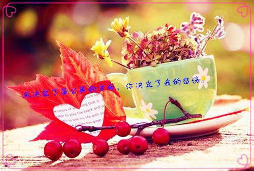 幼儿园小小班下学期评语