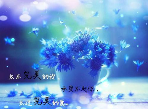 完结版小说闪婚两年不见，军嫂带娃去找爹第14章阅读