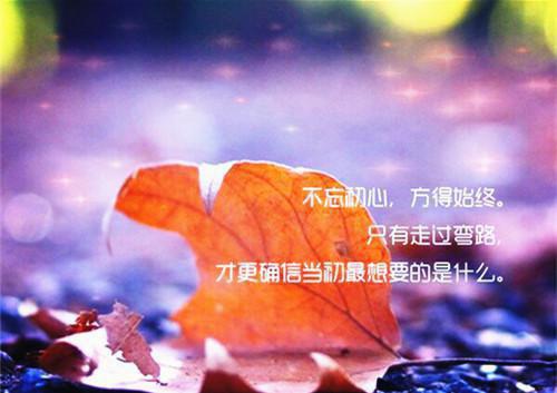 成功靠的是什么