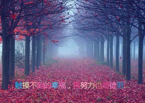 心酸无人懂的qq签名 令人揪心的痛伤感签名2023