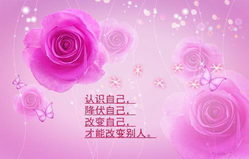 (番外)+(全文)圆圆（恶邻违规停车压住我的狗：无广告+大结局）完整全文在线阅读_圆圆免费阅读最新章节列表_笔趣阁（恶邻违规停车压住我的狗：无广告+大结局）