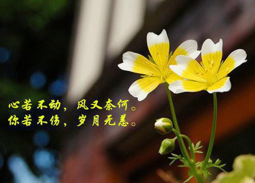 2023操行评语（通用21篇）