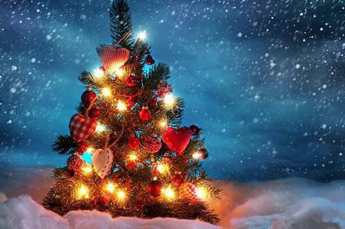 小觅山的小说_为救小保姆的蟒蛇大宝贝,老公将医科圣手的我与关进蛇笼三天三夜孟景山颜念小说阅读