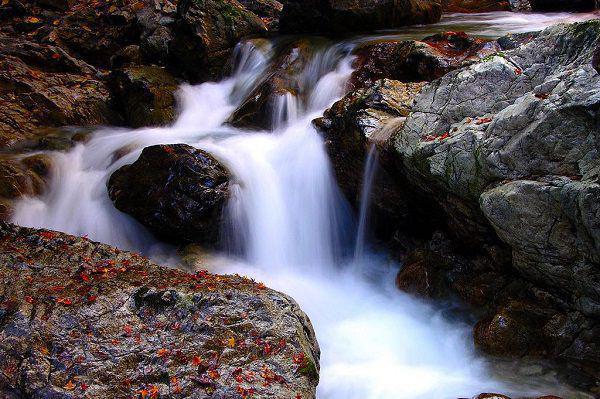发生在校园里超感人的爱情故事