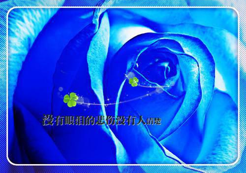关于父亲节的诗歌——《父亲节的思念》
