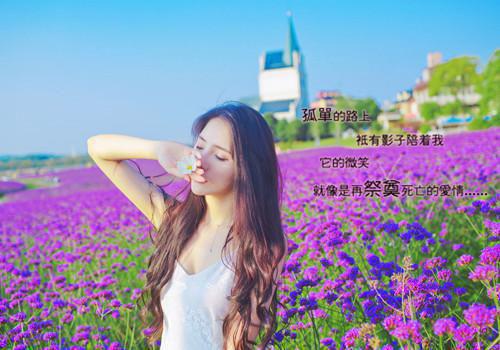 行走在青瓦绿水间