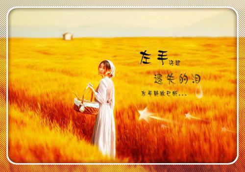 家长对幼儿园的评语